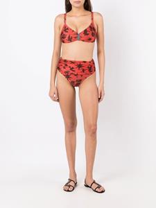 lygia&nanny Lygia & Nanny Bikini met logoplakkaat - Bruin