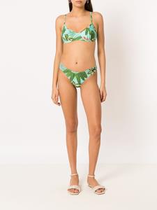 Lygia & Nanny Bikinislip met tropische print - Groen