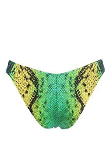 noireswimwear Noire Swimwear Bikinislip met slangenhuidprint - Groen