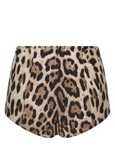 dolce&gabbana Dolce & Gabbana Bikinislip met luipaardprint - Bruin