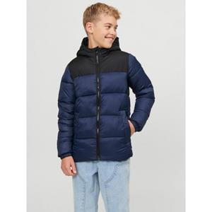 Jack & Jones Junior Steppjacke JJETOBY PUFFER HOOD SN JNR