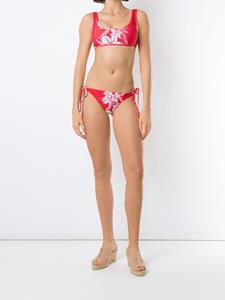 amirslama Amir Slama Bikini met print - Rood