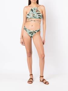 clubebossa Clube Bossa Bikinitop met bloemenprint - Groen