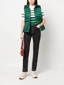 tommyhilfiger Tommy Hilfiger Bodywarmer met rits - Groen