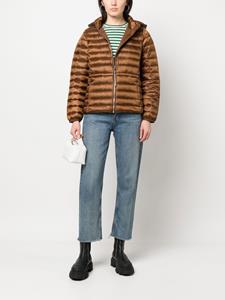 Tommy Hilfiger Donsjack met capuchon - Bruin