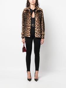 Alison jack met luipaardprint - Bruin