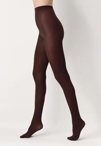 All Colors 50 denier panty