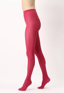 All Colors 50 denier panty
