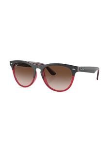 Ray-Ban Zonnebril met rond montuur - Grijs