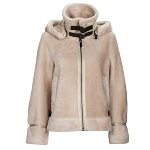 Windjack Oakwood TRESOR