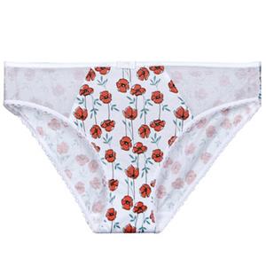 Slips DIM GENEROUS COTON BIO