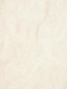 ETRO Sjaal met paisley-print - Beige