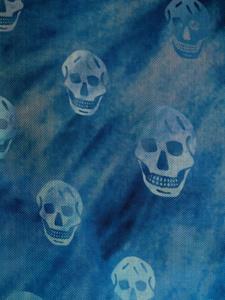 Alexander McQueen Sjaal met doodskopprint - Blauw