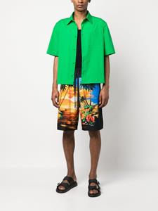 dolce&gabbana Dolce & Gabbana Shorts met palmboomprint - Blauw