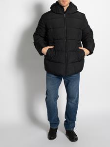 Calvin Klein Big&Tall Steppjacke "BT CRINKLE NYLON PUFFER JACKET", mit Kapuze, mit Markenlabel