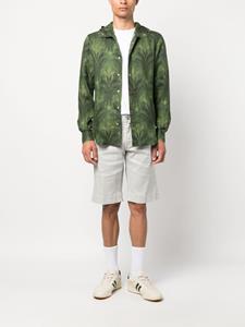 Kiton Chino shorts - Grijs