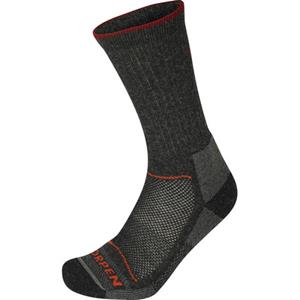 Lorpen Merino Hiker 2 Pack Eco Sokken