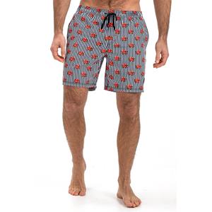 Falcon Swimshort Dray