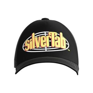 Levi's Baseballcap Zilvertab