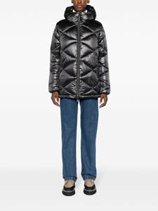 Save The Duck Kimia hooded quilted jacket - Zwart