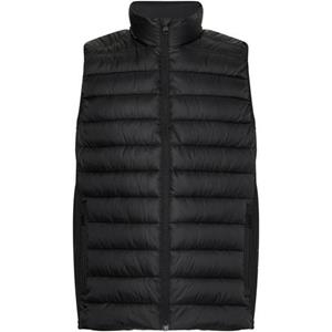 Calvin Klein Big&Tall Steppweste "BT RECYCLED SIDE LOGO VEST"