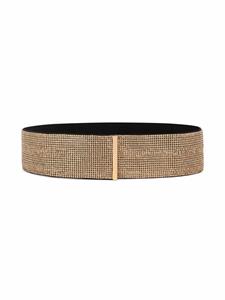 dolce&gabbana Dolce & Gabbana Mesh riem met kristallen - Goud
