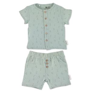 Sterntaler Set shirt+short palmboom medium groen