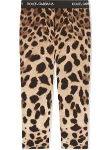 dolce&gabbanakids Dolce & Gabbana Kids Legging met luipaardprint - Bruin