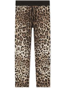 Dolce & Gabbana Kids Legging met luipaardprint - Bruin