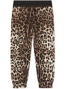 dolce&gabbanakids Dolce & Gabbana Kids Trainingsbroek met luipaardprint - Bruin