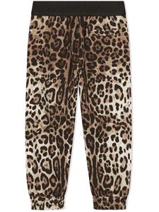 Dolce & Gabbana Kids Legging met luipaardprint - Bruin