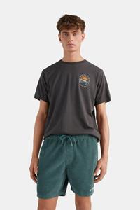 O'Neill Tarifa Cord Short Petrol