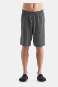 Icebreaker Shifter Shorts Donkergrijs