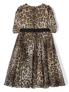dolce&gabbanakids Dolce & Gabbana Kids Zijden jurk - Bruin
