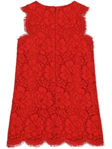 dolce&gabbanakids Dolce & Gabbana Kids Midi-jurk met kant - Rood