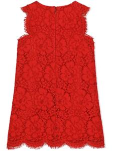 Dolce & Gabbana Kids Jurk met logoplakkaat - Rood