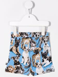 Molo Shorts met print - Blauw