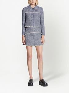 proenzaschoulerwhitelabel Proenza Schouler White Label Mini-rok met franje zoom - Blauw