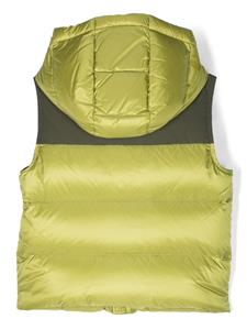 Bodywarmer met logopatch - Groen