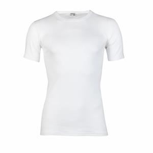 Grote maten Beeren t-shirt wit korte mouw -