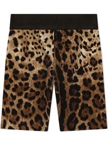 Dolce & Gabbana Kids Shorts met luipaardprint - Bruin