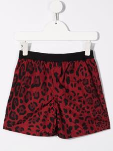 dolce&gabbanakids Dolce & Gabbana Kids Zwembroek met luipaardprint - Rood