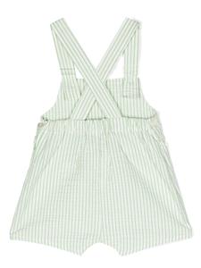 Siola Gestreepte shorts - Groen