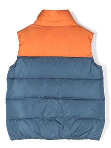 guccikids Gucci Kids Bodywarmer met logopatch - Blauw