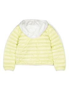 monclerenfant Moncler Enfant Gewatteerd jack - Groen