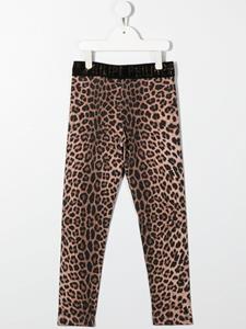 philipppleinjunior Philipp Plein Junior Legging met luipaardprint - Bruin