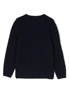 Ralph Lauren Kids Gebreide trui - Blauw