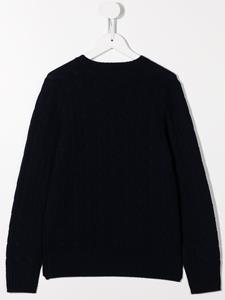 poloralphlaurenkids POLO RALPH LAUREN KIDS Kasjmier trui - Blauw
