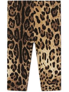 dolce&gabbanakids Dolce & Gabbana Kids Legging met luipaardprint - Bruin