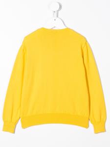 Siola Sweater - Geel